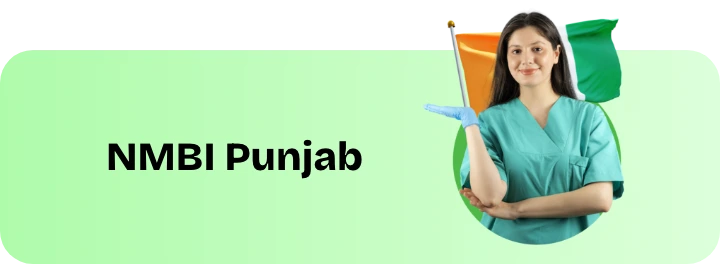 nmbi punjab council bannner